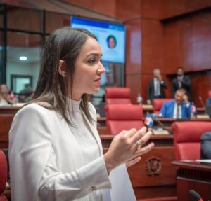 Senadora por el Distrito Nacional, Faride Raful